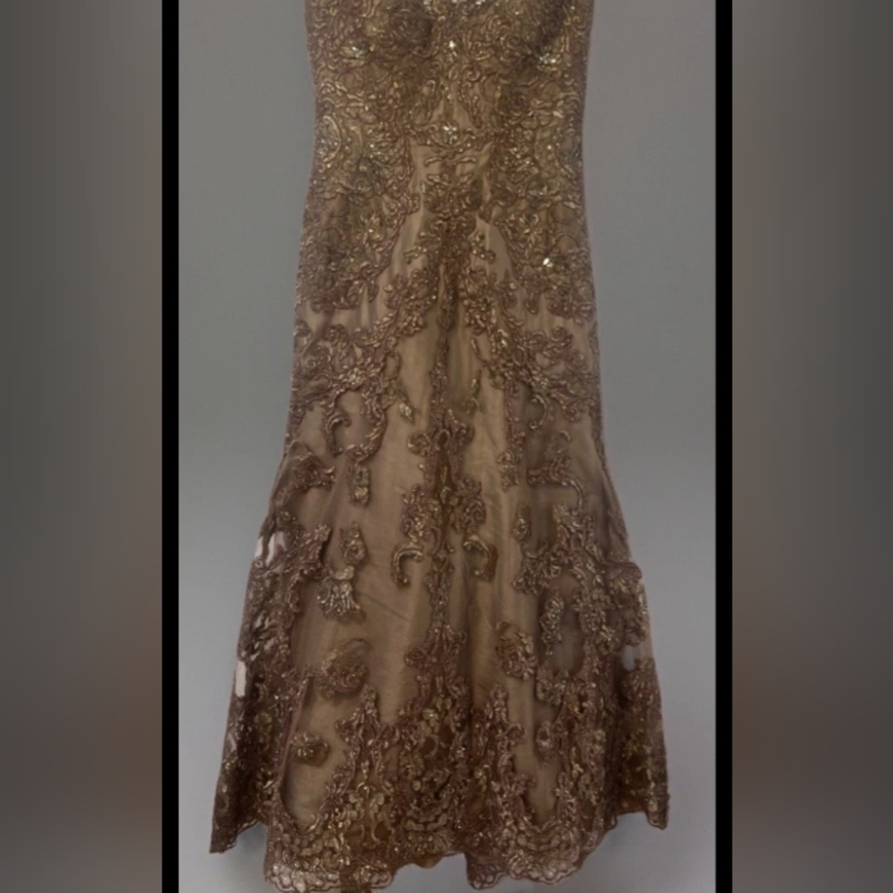 Elegant Lace Evening Gown, By Evonne D for Mon Cherie - Picture 3 of 13